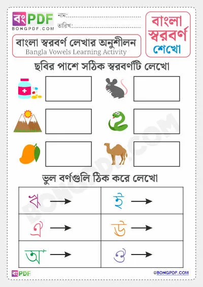 Bengali Vowels Activity PDF Worksheet