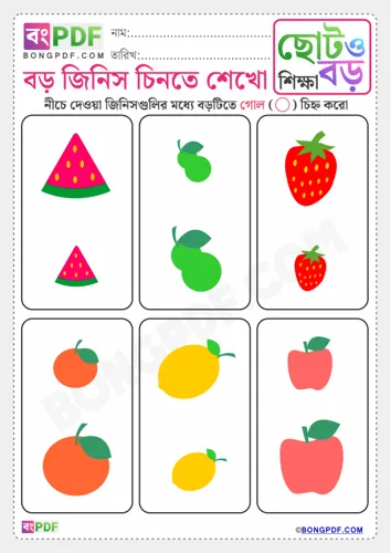 Circle Activity Worksheets