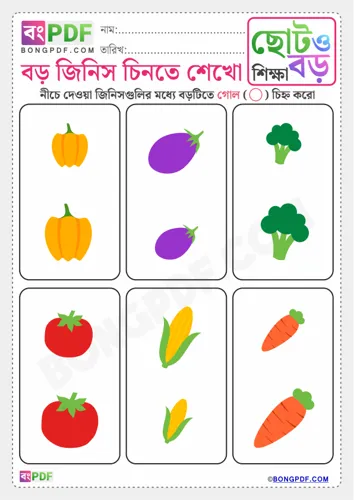 Circle the Big Items Bengali Worksheets