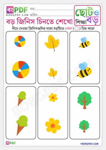Free Learn Circle Big Objects Bengali Worksheet Download