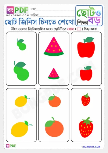 Circle small items bengali
