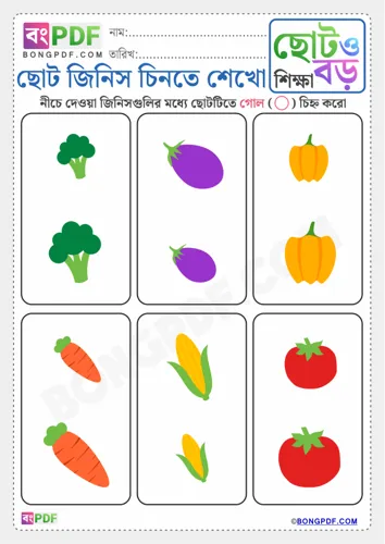 Free Learn Circle Small Items Bengali Worksheet Download