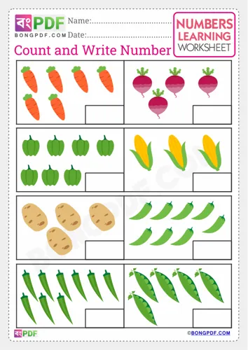 Count and Write English Numbers