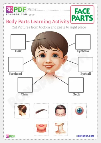 Free Learn Face Parts Cut Paste Worksheet Download