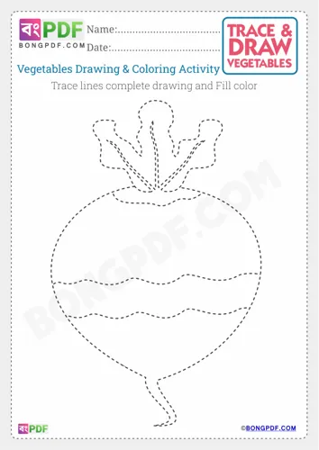 Kids Vegetables Drawing Worksheets