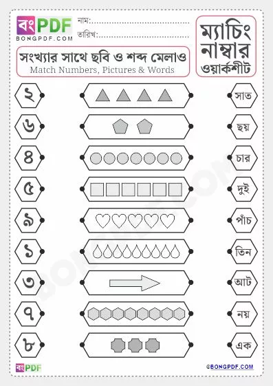 Free Match Pictures Numbers and Words Bengali PDF Worksheet Download